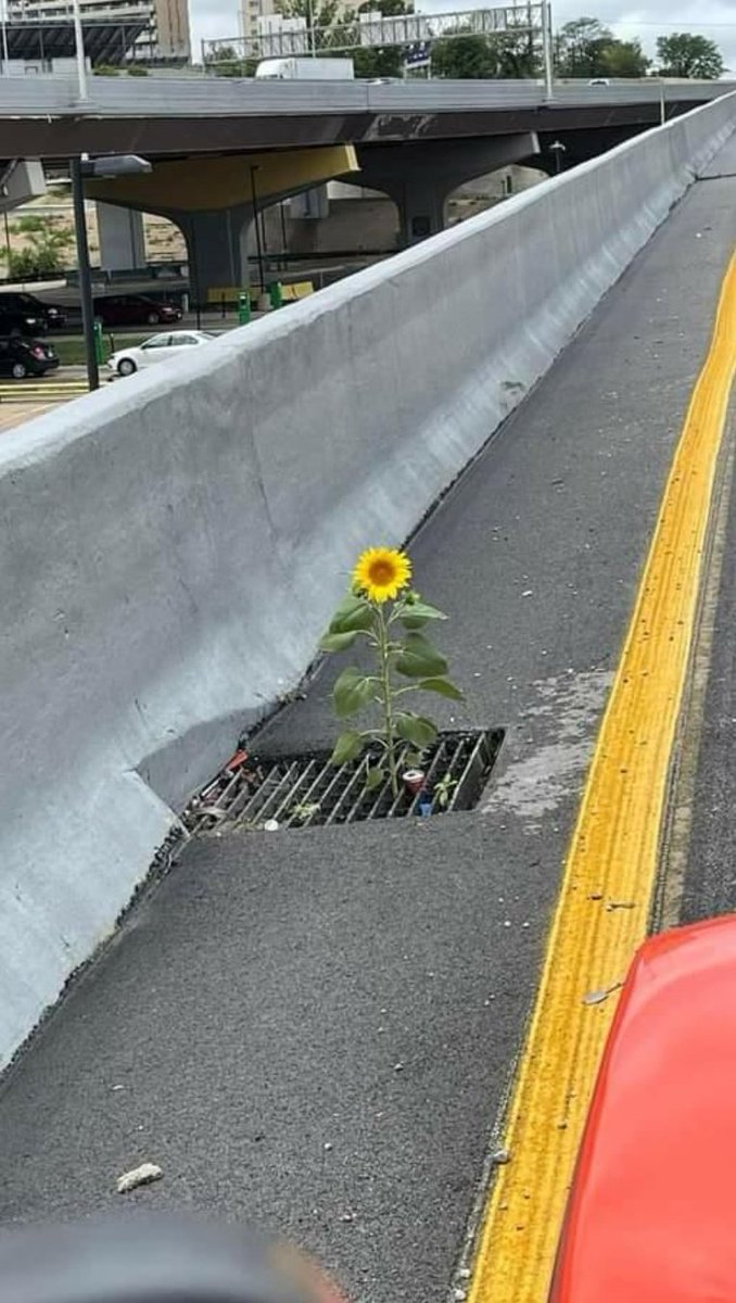 Seseorang mati ketika dilupakan. 
Selama masih di ingat, manusiaa akan tetap hidup dalam sebuah perasaan.