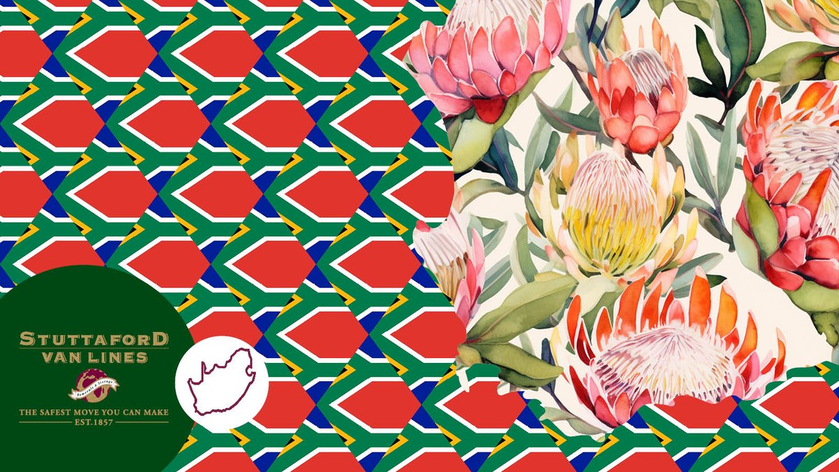 StuttafordVanLn's tweet image. Moving in Saffa? 😉 Ja-nee, choose the okes who know the score! Stuttaford Van Lines, around since 1857.
👉  stuttafordvanlines.co.za/contact-us/
#SVL #LocalMove #Semigration #Relocation #SouthAfrica