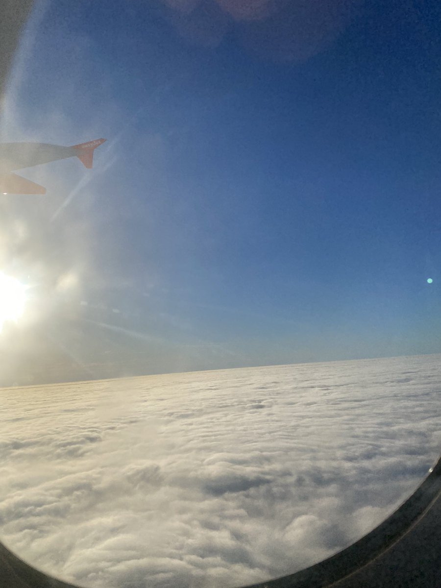 The Guv’nor tweet media