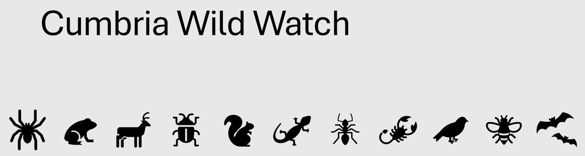 3/12 days of Christmas:
Cumbria Wild Watch ran for the first time in 2024 and gathered over 2,000 wildlife records over the last weekend in June.

Thank you to all who took part, organised events or helped run sessions as schools.

Cumbria Wild Watch will return on 2025.....