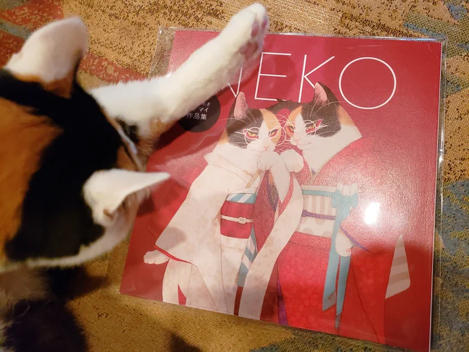 オノマイさんの作品集届いた!綺麗で可愛いねこちゃんたちが好きな時に何度でも見れるって素晴らしい 02?買い逃してて 