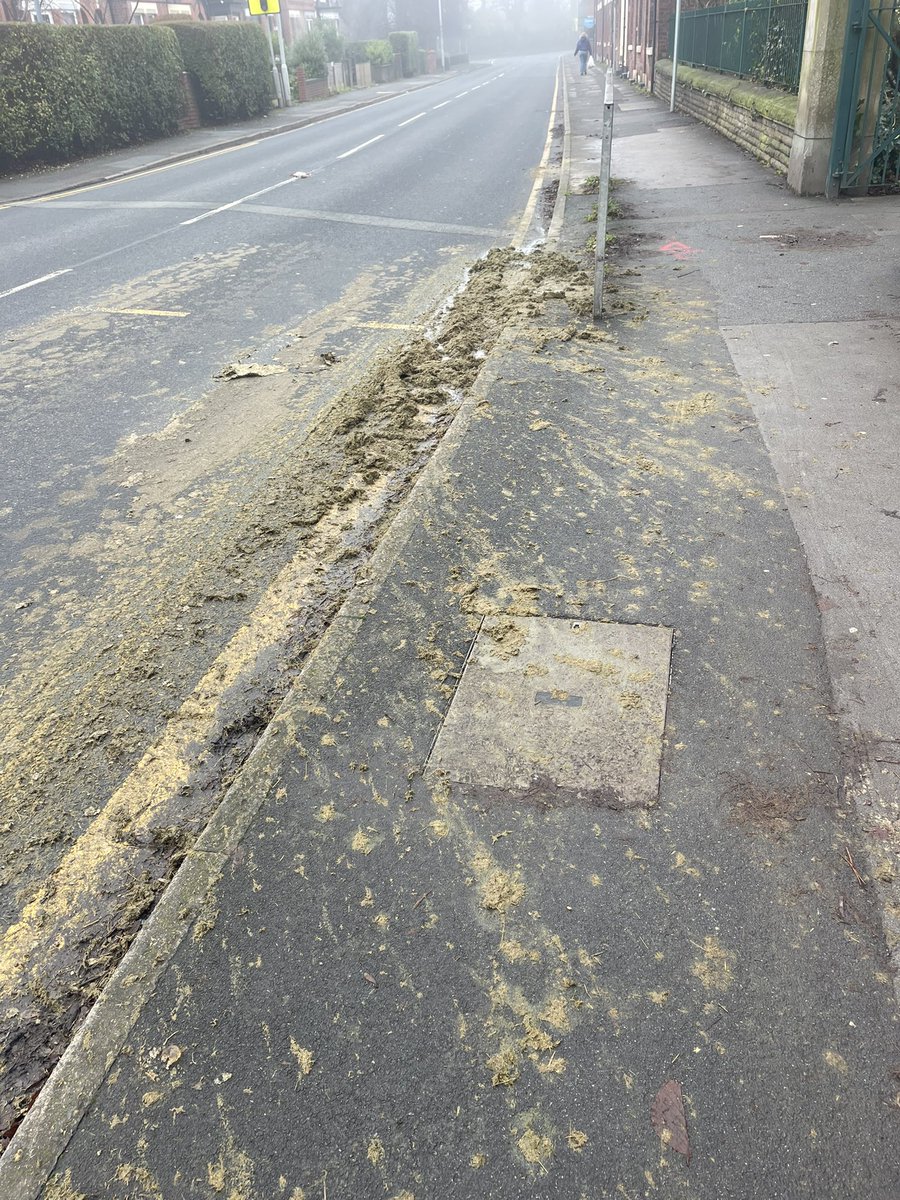 jane6519's tweet photo. @StockportMBC this silage is on Bramhall lane by the gates of Hallam gardens. Surely it’s a health hazard https://t.co/1jwbn3EuFH
