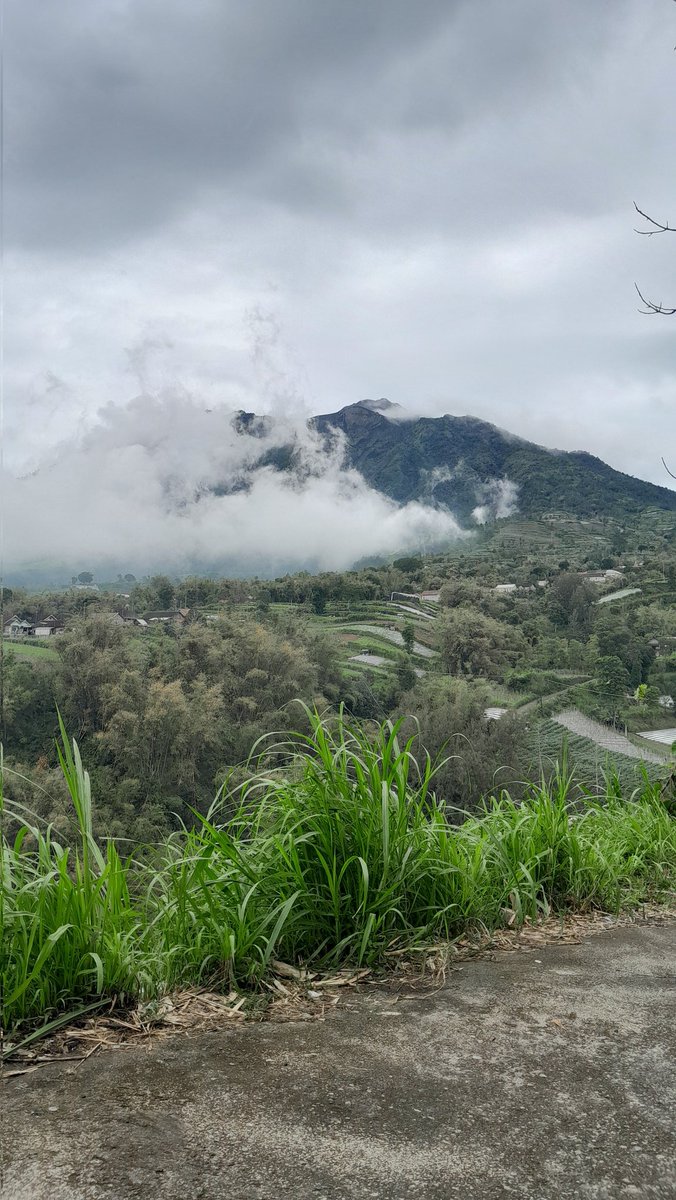 renynugra's tweet photo. Foto kiri: karanganyar desember 2023
Foto kanan: boyolali desember 2024

Kebetulan/nggak tiap akhir tahun selalu sambat ke suami kalau mumet sama gawean dan berujung njaluk dolan ke tempat adem 🥲 https://t.co/6JBzQwlAmG