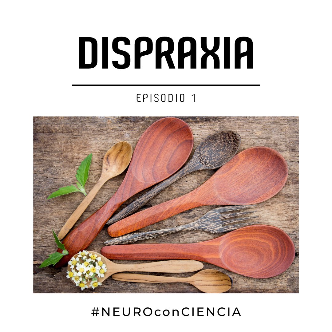 🌟 Descubre más sobre la #dispraxia 🌟

En esta entrada del wiki de neurociencia de <a href="/fundaisse/">Fundación AISSE</a>, profundizamos en este complejo trastorno del neurodesarrollo que afecta la adquisición y organización del movimiento. 🤔
<a href="/Paula_igr/">Paula Iglesias</a> <a href="/YolandaColo/">Yolanda Colodro</a> 

aisse.es/post/dispraxia