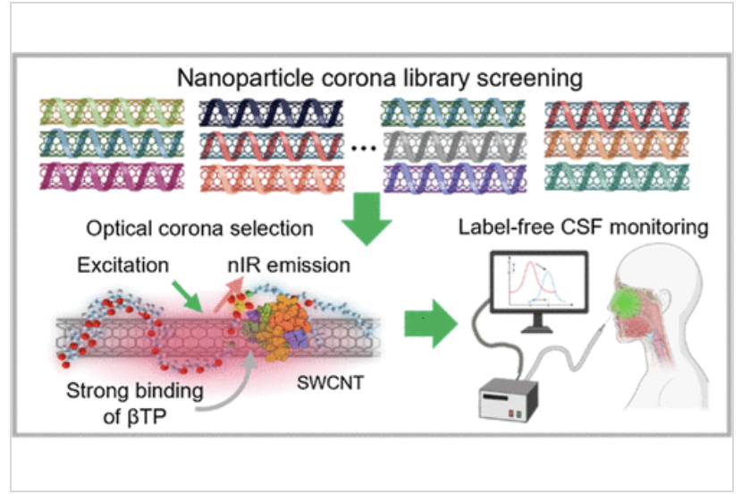 .<a href="/sycho_lab/">Sooyeon Cho Lab @ SKKU</a> at <a href="/SKKU_1398/">SKKU</a> developed a label-free &amp; real-time optical sensor for cerebrospinal fluid leakage detection. They created the sensor using CoPhMoRe technology &amp; successfully detected real patient leakage samples quickly.

Read it here 🔗 go.acs.org/c3M