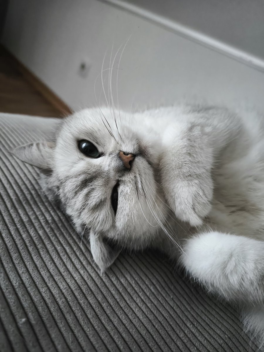 I love my child so incredibly much. 😆🥰