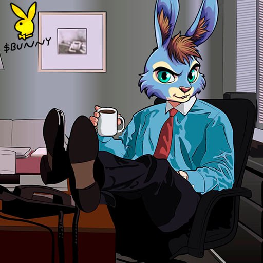 $BUNNY tweet media