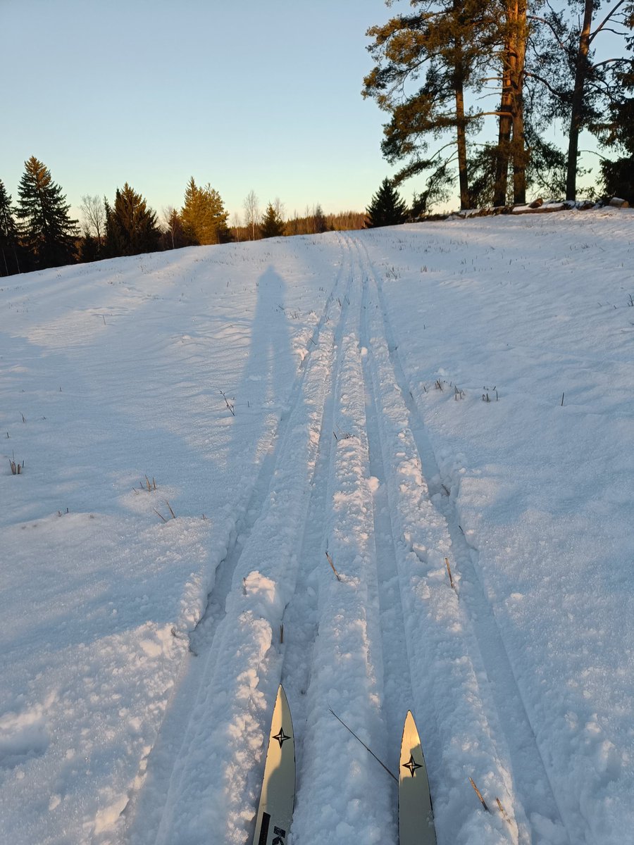 Päivä on jo kukon askeleen pidempi. Hyvä keli hiihdellä talvisessa, aurinkoisessa maisemassa.