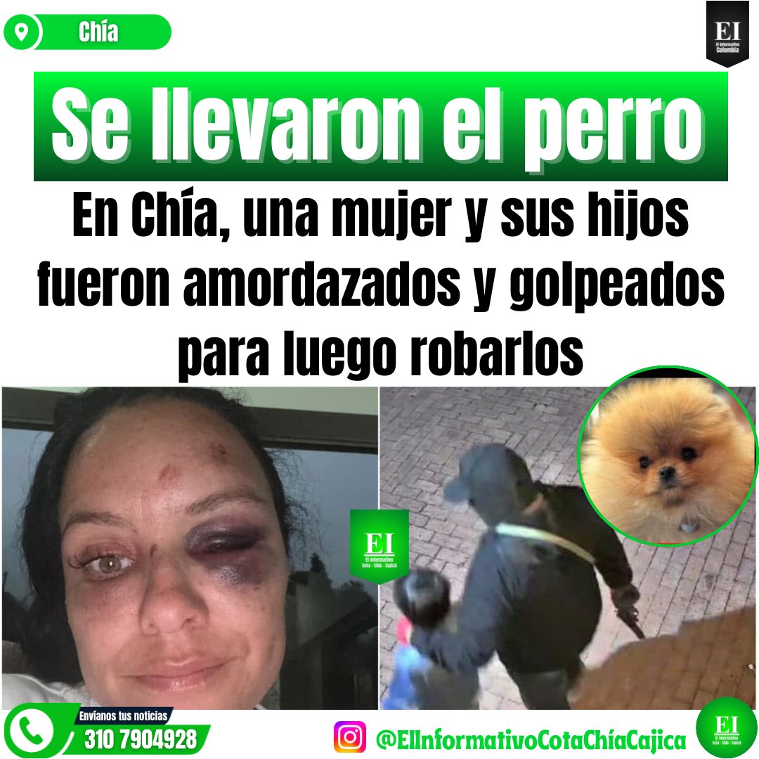 🚨 Brutal asalto en Chía: Delincuentes irrumpen en una vivienda, roban millonaria suma, golpean a una mujer y se llevan a la mascota familiar.

#ChiaCundinamarca