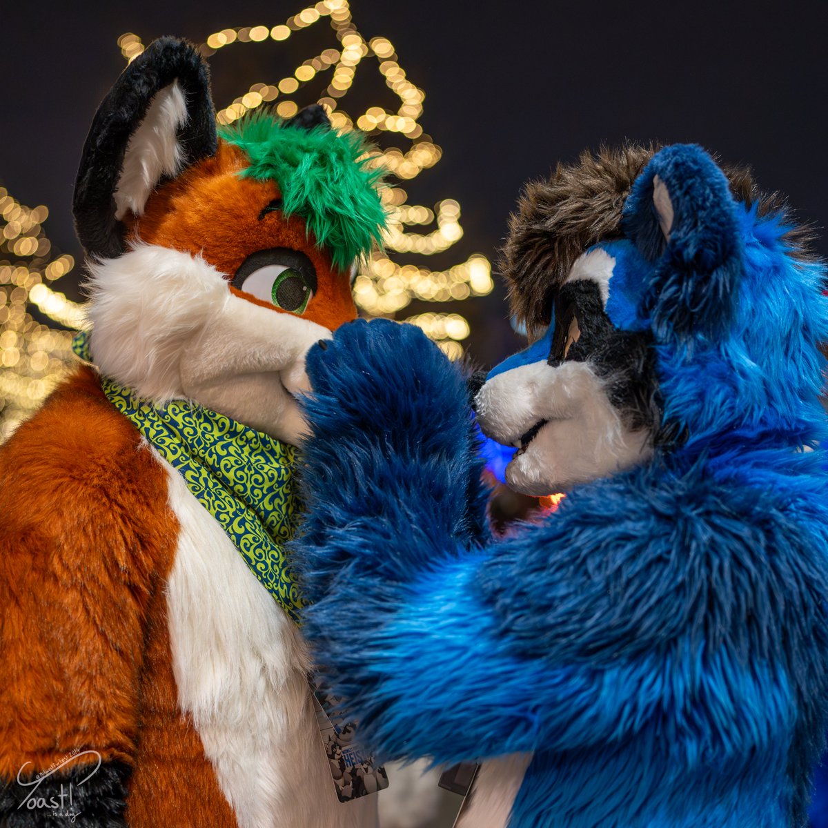 ToastIsADog's tweet image. Seems like there's one more gift left under the tree... oh snap! Its a gift from Toast... its the photos from MFF!!
I had an absolute blast running around the con taking photos! All photos are now up on furtrack for your convenience :3
@FurFest #MFF2024 #furfest