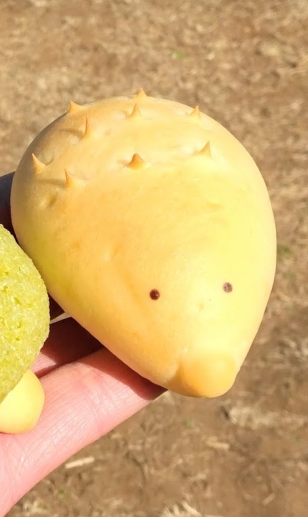 長尾 (@whereis_my_cat) on Twitter photo 