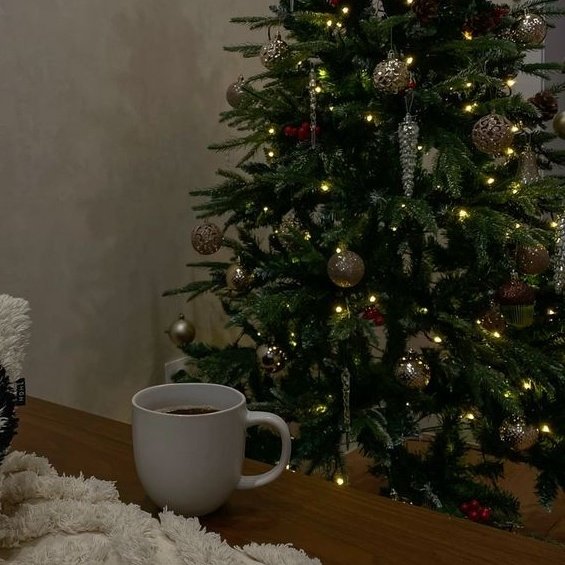 ㅤ
вайб такой. (а подарков под елочкой нет и не будет)
ㅤ