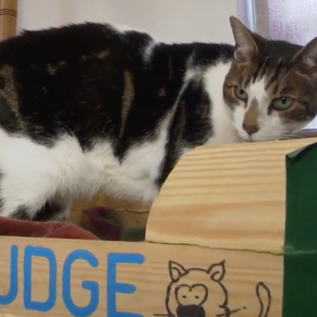 Norwich Cathedral tweet media