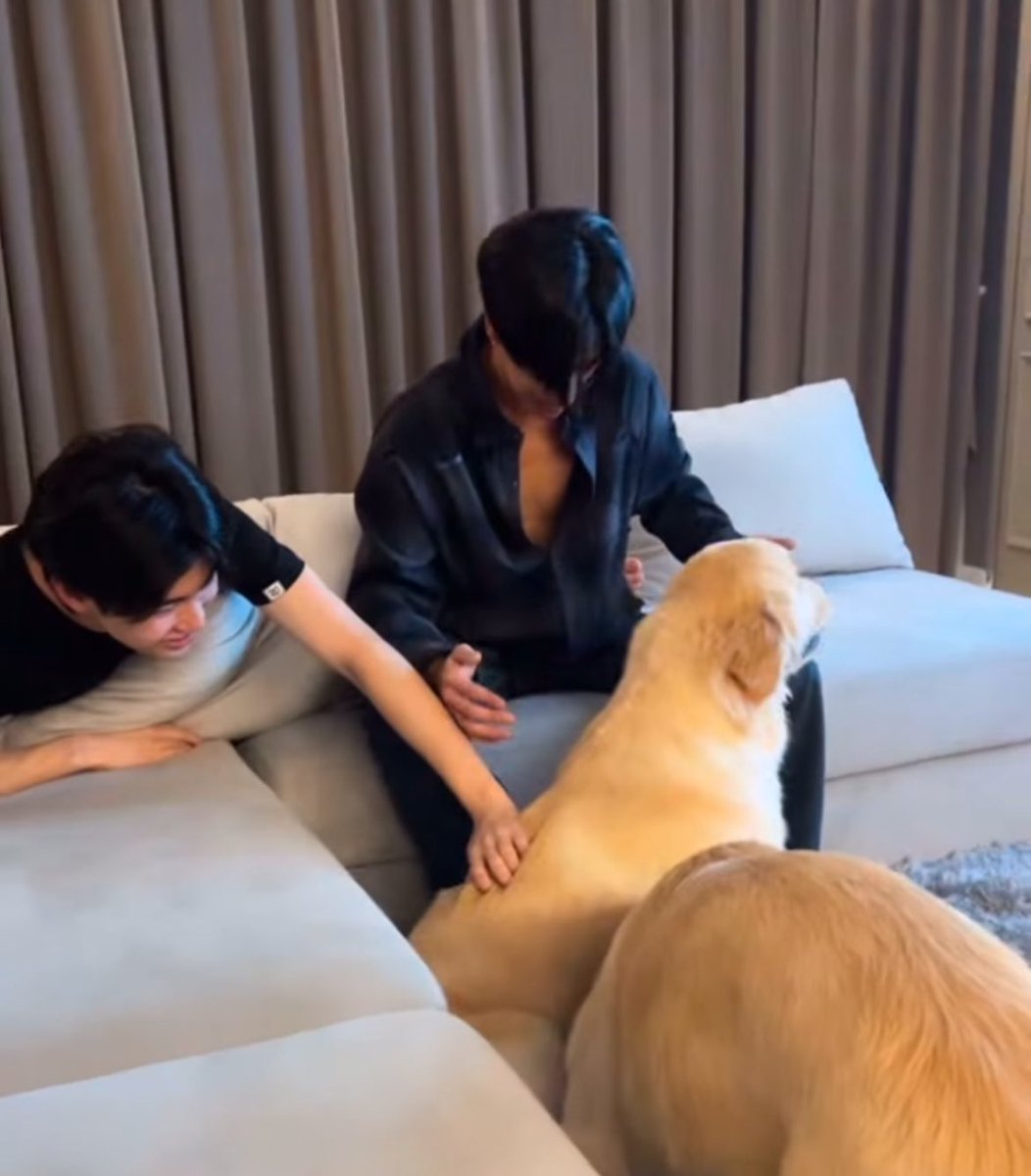 janejira94's tweet image. ระหว่างน้องหมากับน้องพร้อมพี่เพิ้ดเค้าเอ็นดูใครมากกว่ากัน👉🏻👈🏻🆘
#perthprom 
#เพิร์ธพร้อม