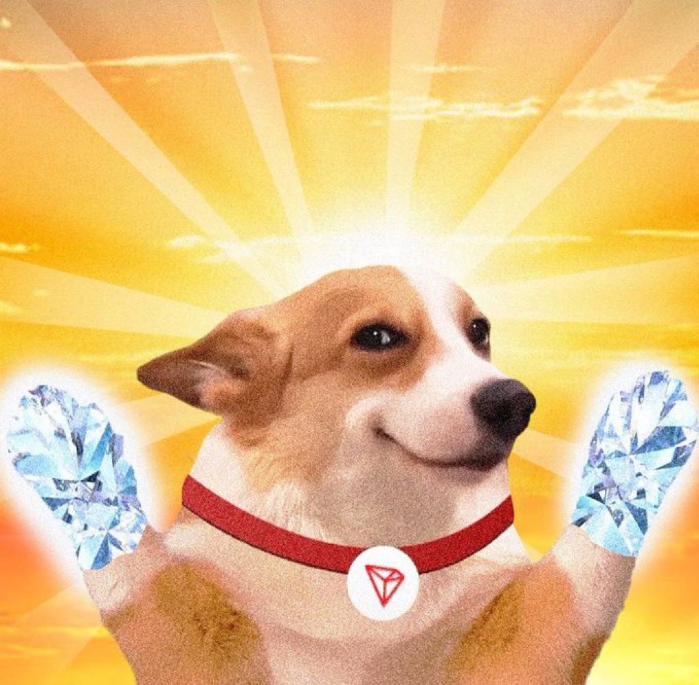 Taha WinWin tweet media