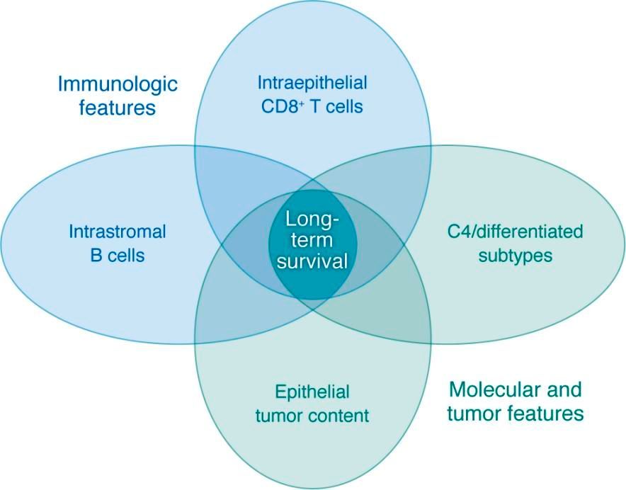 Journal of Clinical Investigation (@jclinicalinvest) on Twitter photo Immune-molecular interactions in high-grade serous ovarian cancer distinguish long-term survivors: jci.org/articles/view/…
<a href="/JeanetteEB/">Jeanette Boudreau (she/her)</a> <a href="/DalhousieU/">Dalhousie University</a> comments on Nelson et al. (jci.org/articles/view/…) Immune-molecular interactions in high-grade serous ovarian cancer distinguish long-term survivors: jci.org/articles/view/…
<a href="/JeanetteEB/">Jeanette Boudreau (she/her)</a> <a href="/DalhousieU/">Dalhousie University</a> comments on Nelson et al. (jci.org/articles/view/…)