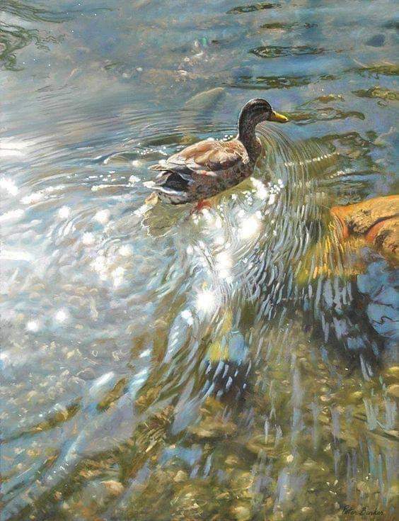 RitaCobix's tweet image. When despair for the world grows in me
I go and lie down where the wood drake rests in his beauty 
 I come into the peace of wild things who do not tax their lives with forethought
of grief
I rest in the grace of the world, and am free.
W. #Blake

#Barker 🎨