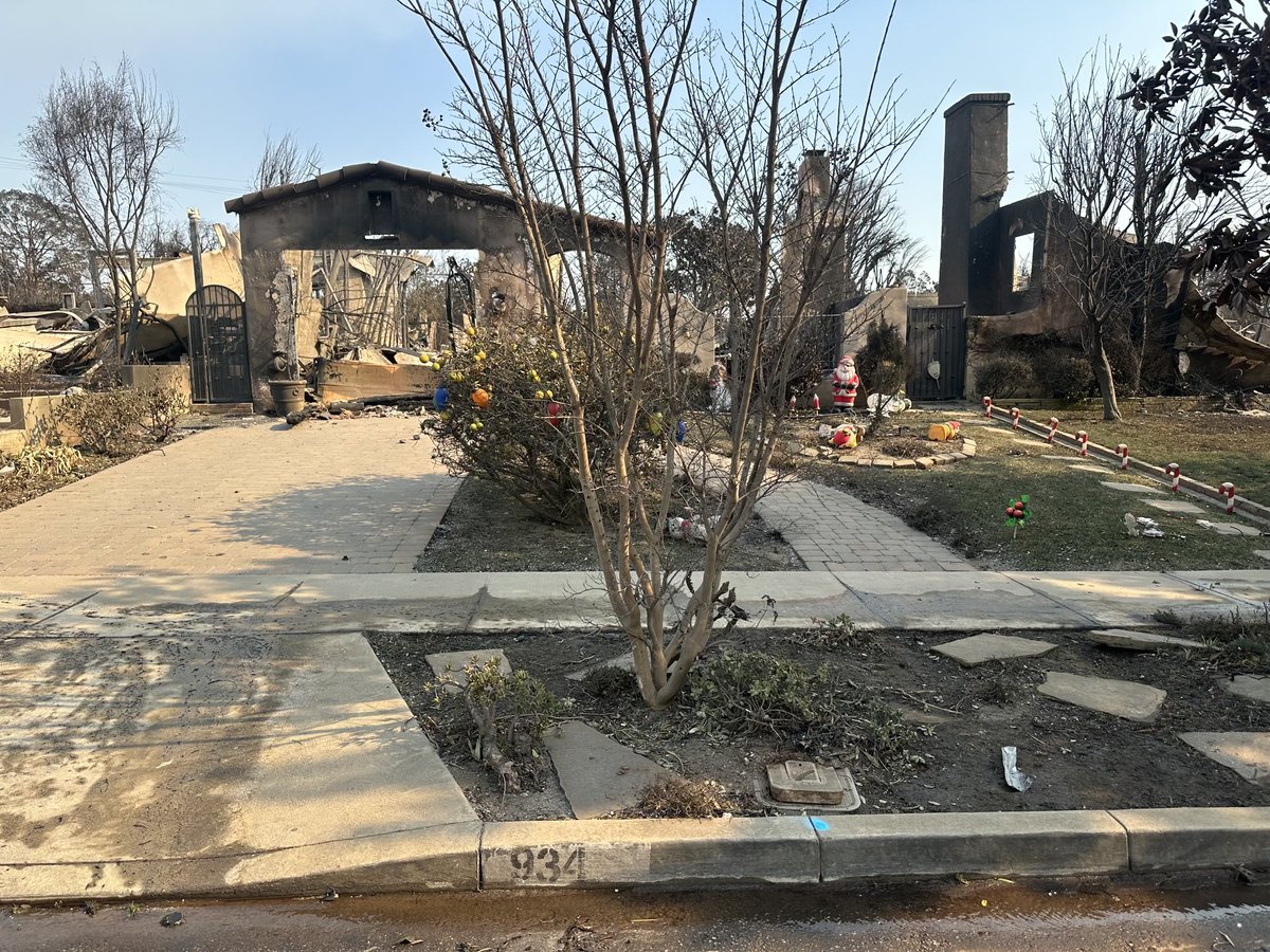 Denise Crosby tweet media