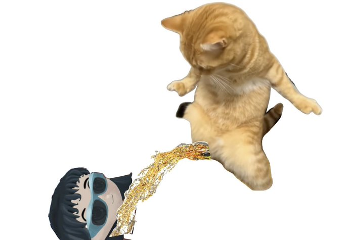 Standin_PissCat's tweet photo. FUCK @shawmakesmagic $SPC WE PISSIN ON YO GRAVE https://t.co/UInMRcyjqA