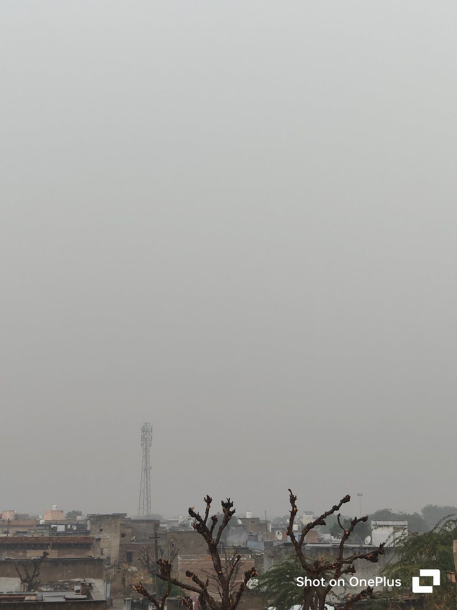 Masab278's tweet image. बेमौसम बारिश ने बेजुबान ओर बेसहारा जीवों का कर दिया बुरा हाल 🫠
आपके भी हुई क्या बारिश?
#GetReady #EMUSK #श्रीराम 
#lalbahadurshastri