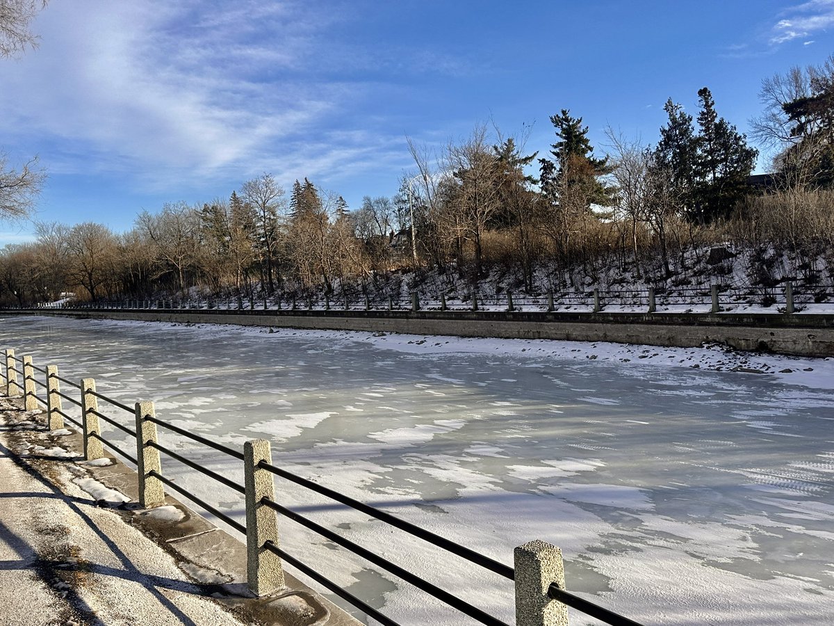 Deb Lawlor (she/her) tweet media