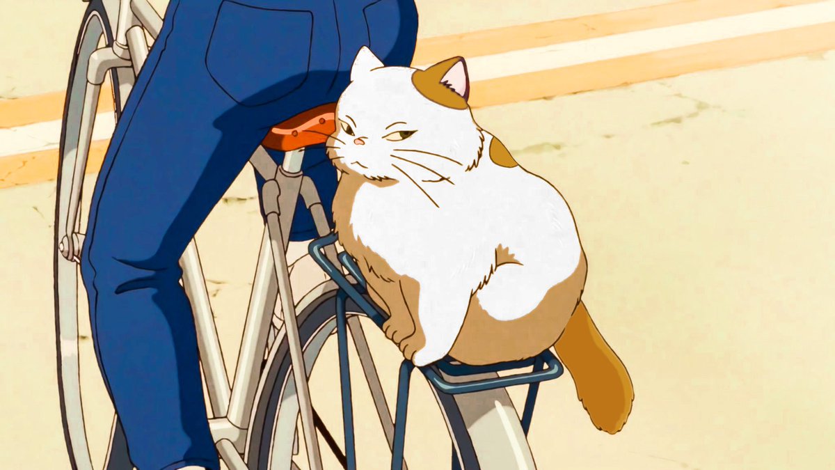 Ciku 🦁🍉 tweet media