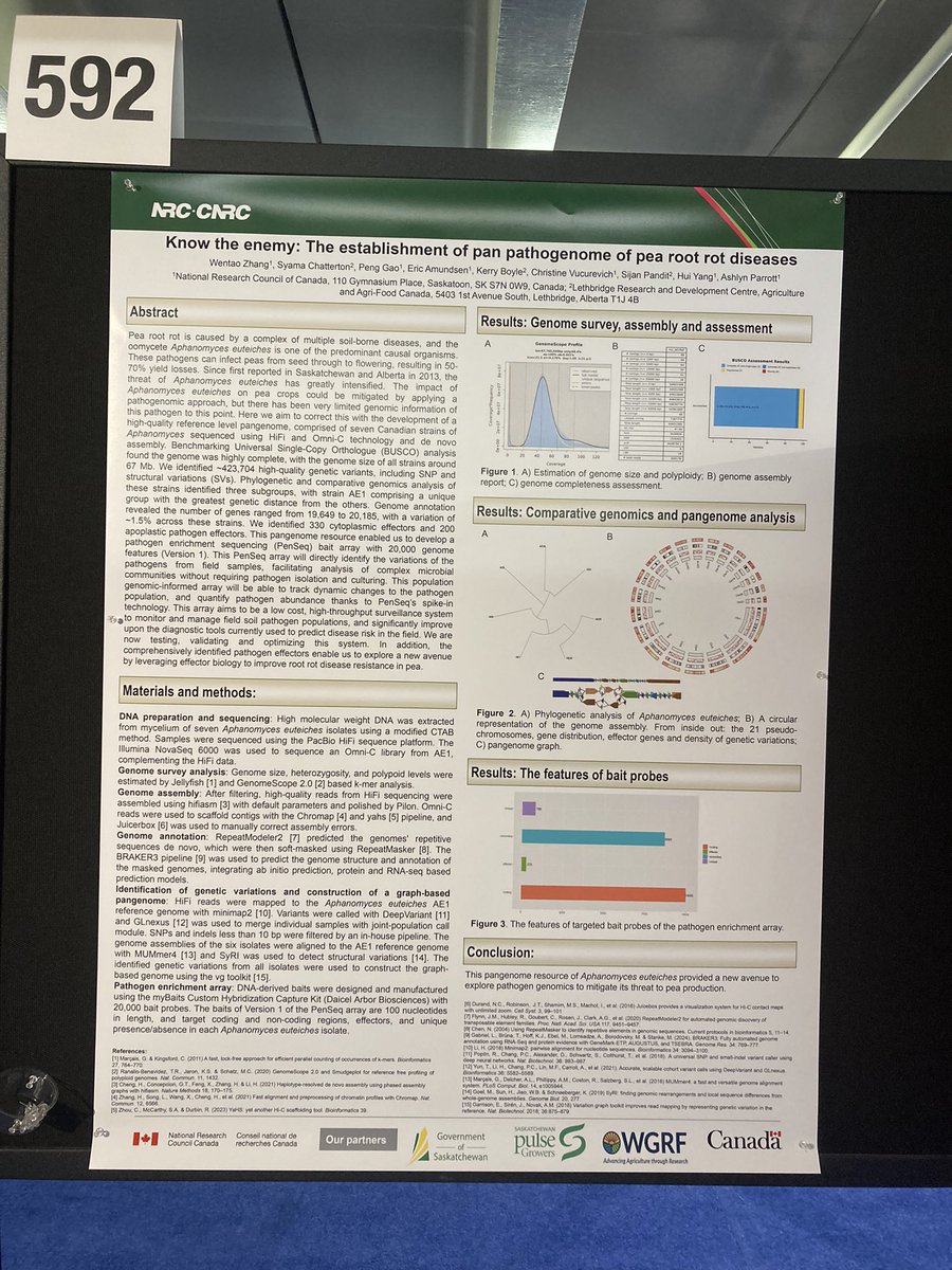 wentao zhang (@wentaozhang8) on Twitter photo I & Syama <a href="/syamachat/">Syama Chatterton</a> presented the pan pathogemome,PenSeq,effectors of pea root rot disease #pag32. We can now detect pathogen to strain level in soil. Please stop by P592. Thx <a href="/SKAgriculture/">Sask Agriculture</a> <a href="/SaskPulse/">Saskatchewan Pulse Growers</a> <a href="/westerngrains/">WGRF</a> funding. More are coming for root rot. I & Syama <a href="/syamachat/">Syama Chatterton</a> presented the pan pathogemome,PenSeq,effectors of pea root rot disease #pag32. We can now detect pathogen to strain level in soil. Please stop by P592. Thx <a href="/SKAgriculture/">Sask Agriculture</a> <a href="/SaskPulse/">Saskatchewan Pulse Growers</a> <a href="/westerngrains/">WGRF</a> funding. More are coming for root rot.