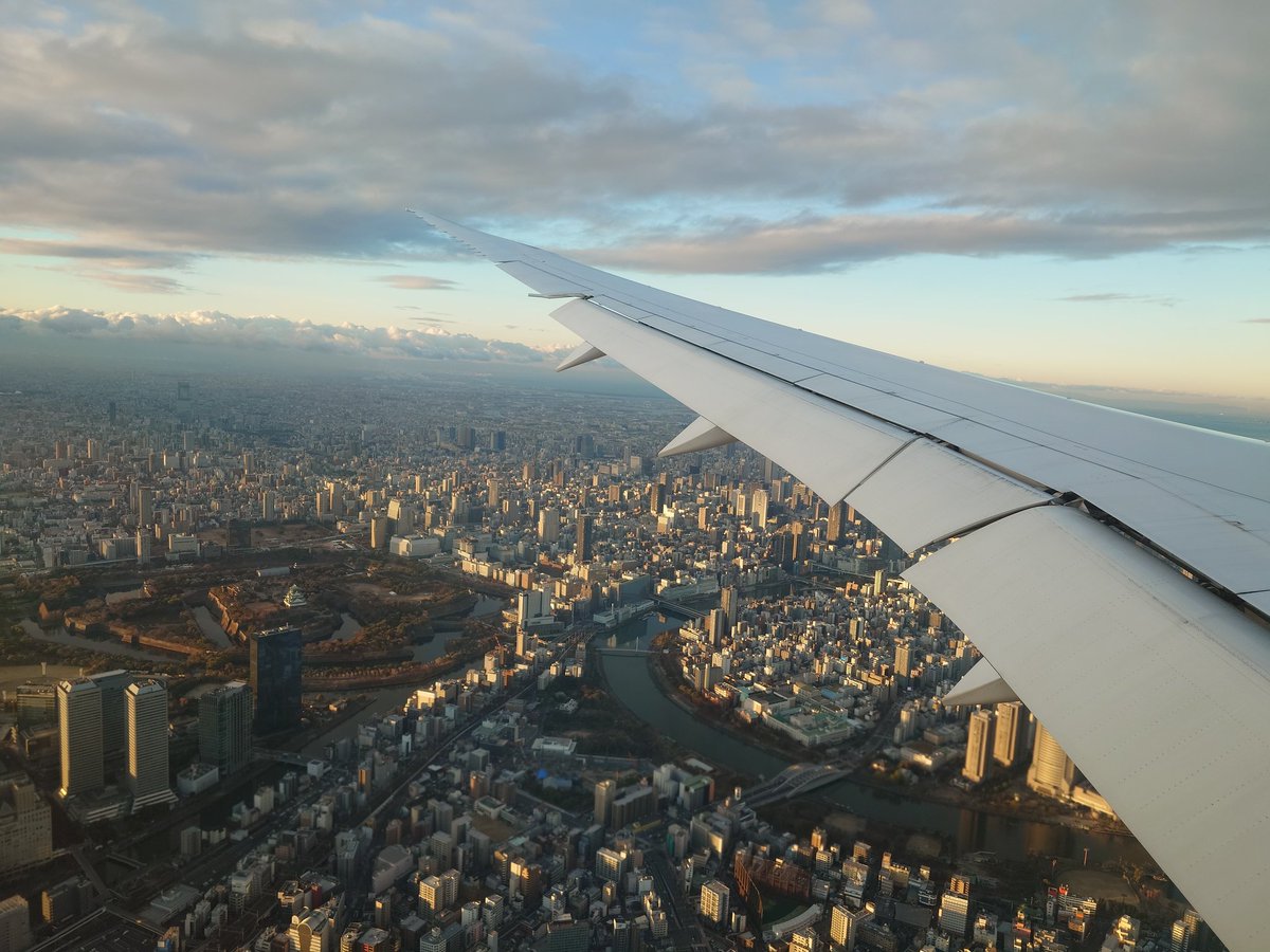 2008K8's tweet photo. 大阪に飛来 https://t.co/tz5c3lngEd