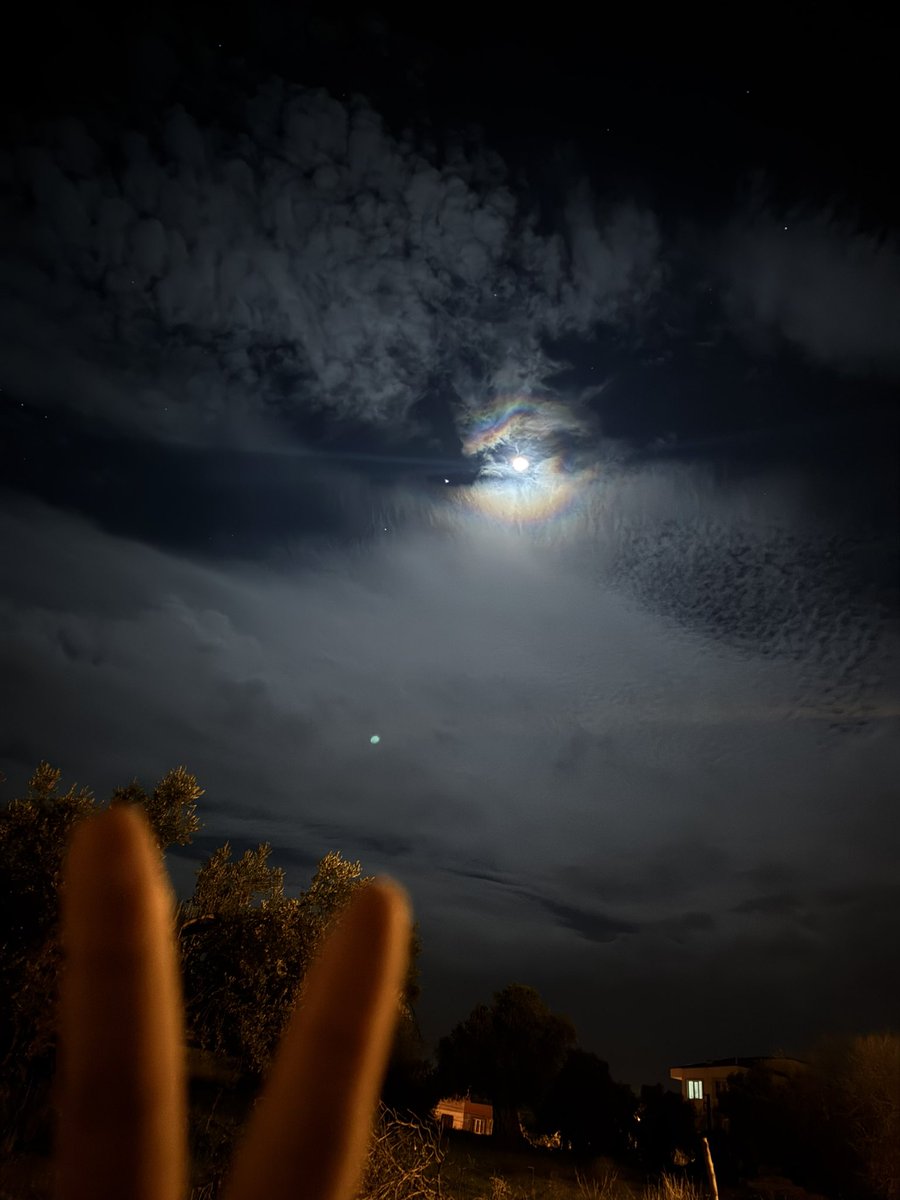 Kendi çekimim / 11.01.2025