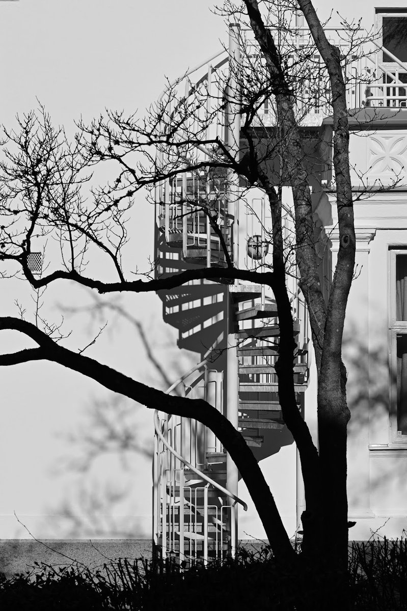 HomeWhenWalking's tweet image. Stairs on My Way ✨

Subscribe to own my best photo of the month, yours to collect with full rights. Each image reflects 100s of hours of dedication and nearly 500,000 steps. Support art: sepasama.com

#Photography #Art #SupportArtists #BlackAndWhitePhotography