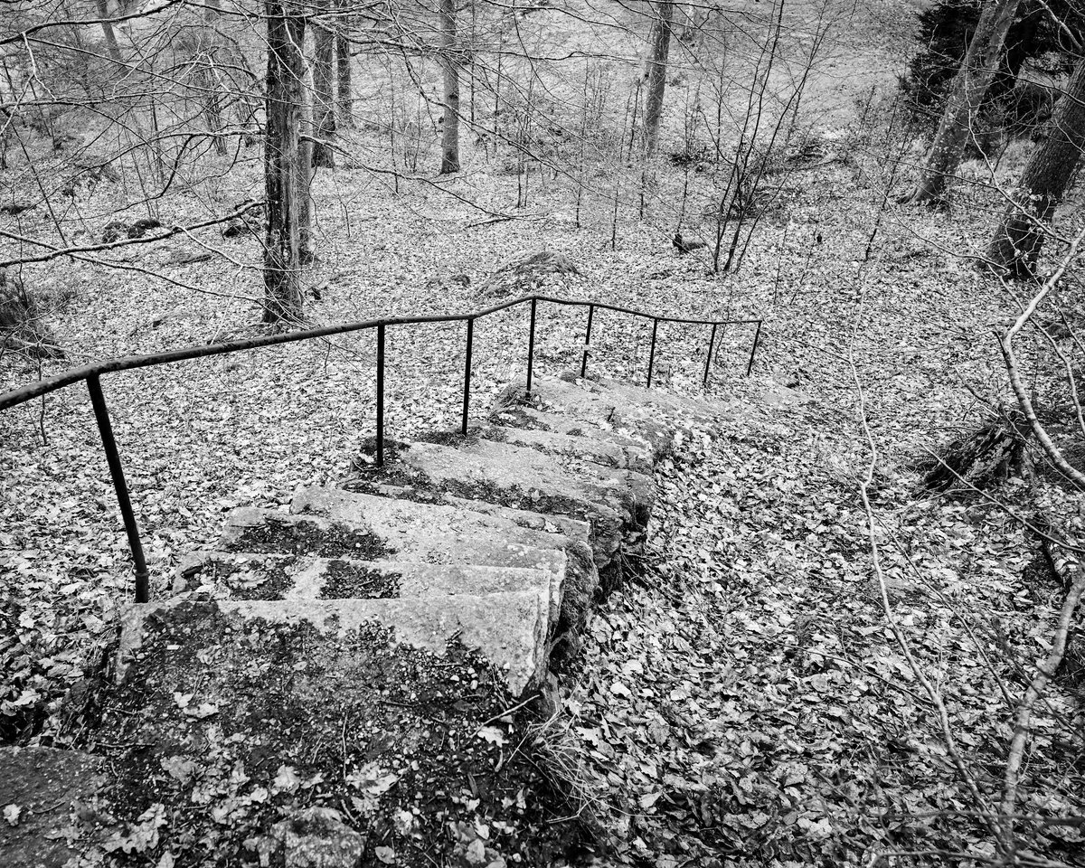 HomeWhenWalking's tweet image. Stairs on My Way ✨

Subscribe to own my best photo of the month, yours to collect with full rights. Each image reflects 100s of hours of dedication and nearly 500,000 steps. Support art: sepasama.com

#Photography #Art #SupportArtists #BlackAndWhitePhotography