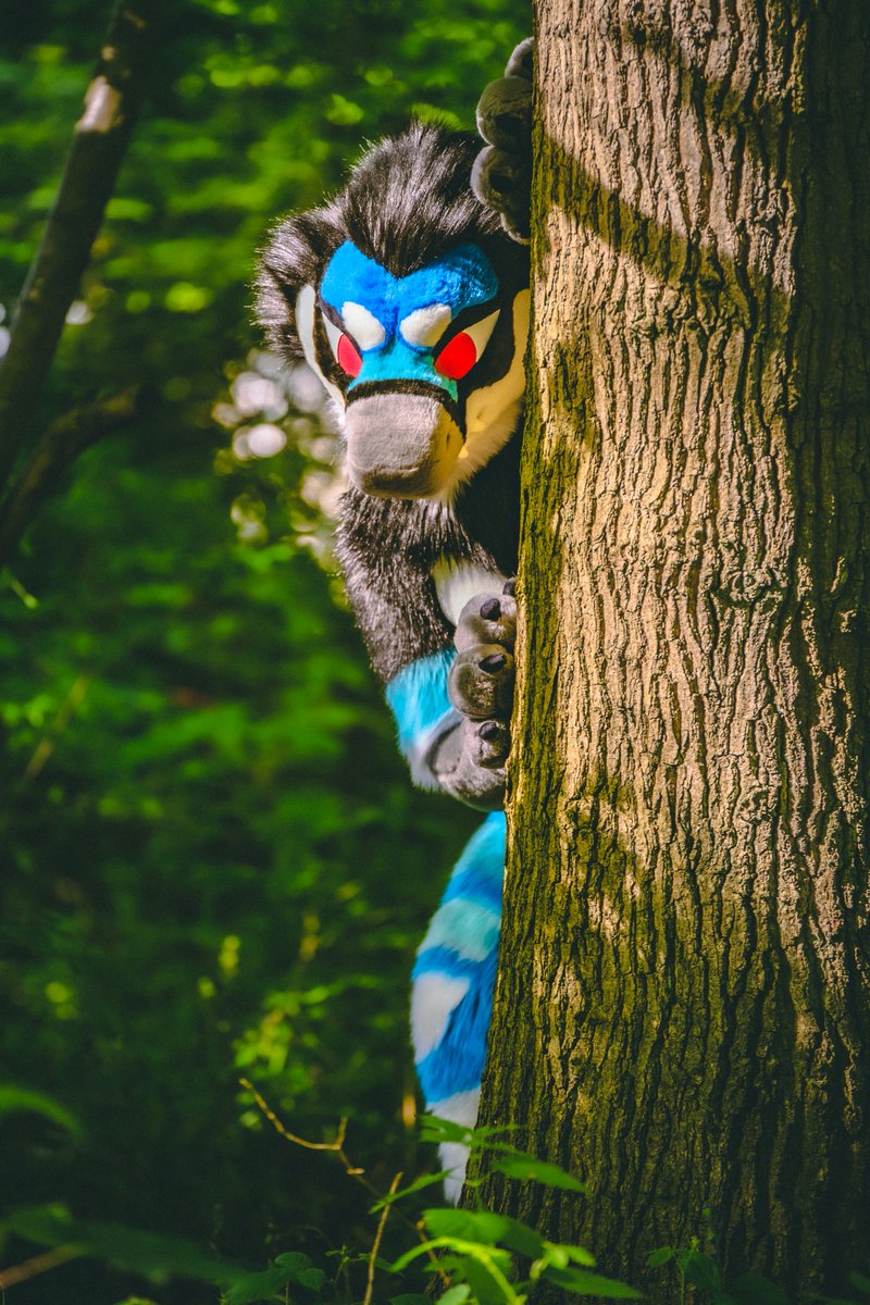Tree peeper  :)🌲 #FursuitFriday 

📸 <a href="/FENNERGY/">Casey</a> 
✂️ <a href="/hounds_teeth/">houndsTEETH</a>