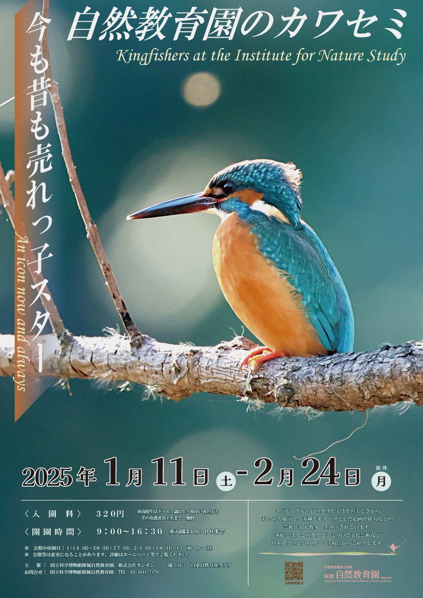 かはく【国立科学博物館公式】 on X