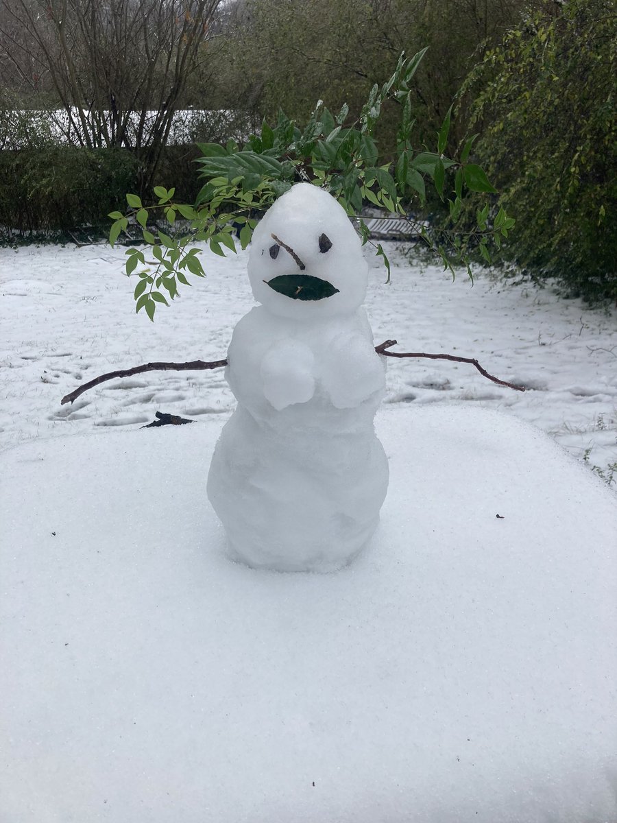 Look, I made your mom.