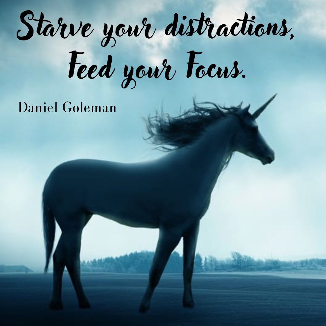 In a world with endless, meaningless distractions. Focus on your passion. Chase your dreams.