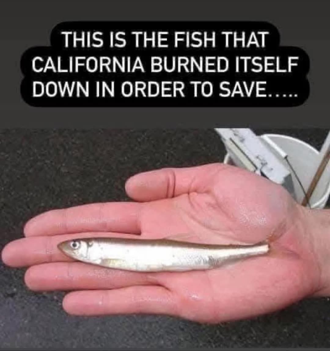 lovelynancie's tweet image. All this happened because of this. Resign. We don't have any confidence in anything you've done or say you will do.