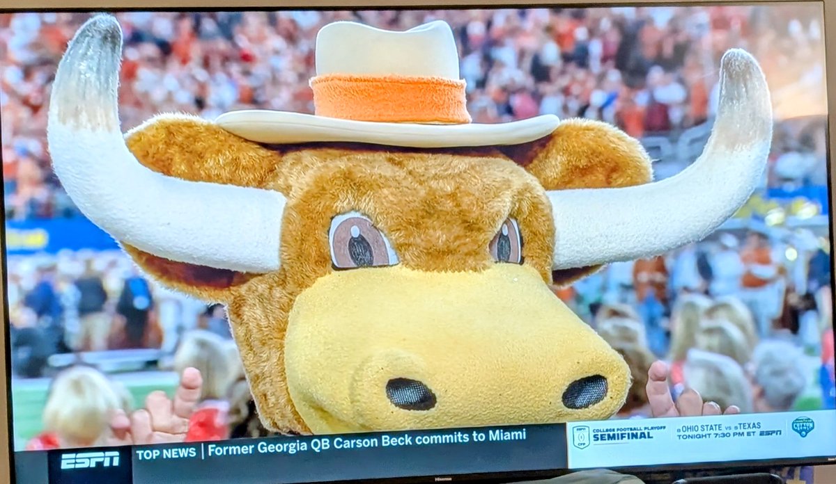WirthlessStuff's tweet photo. Hook em https://t.co/99SHke8x02