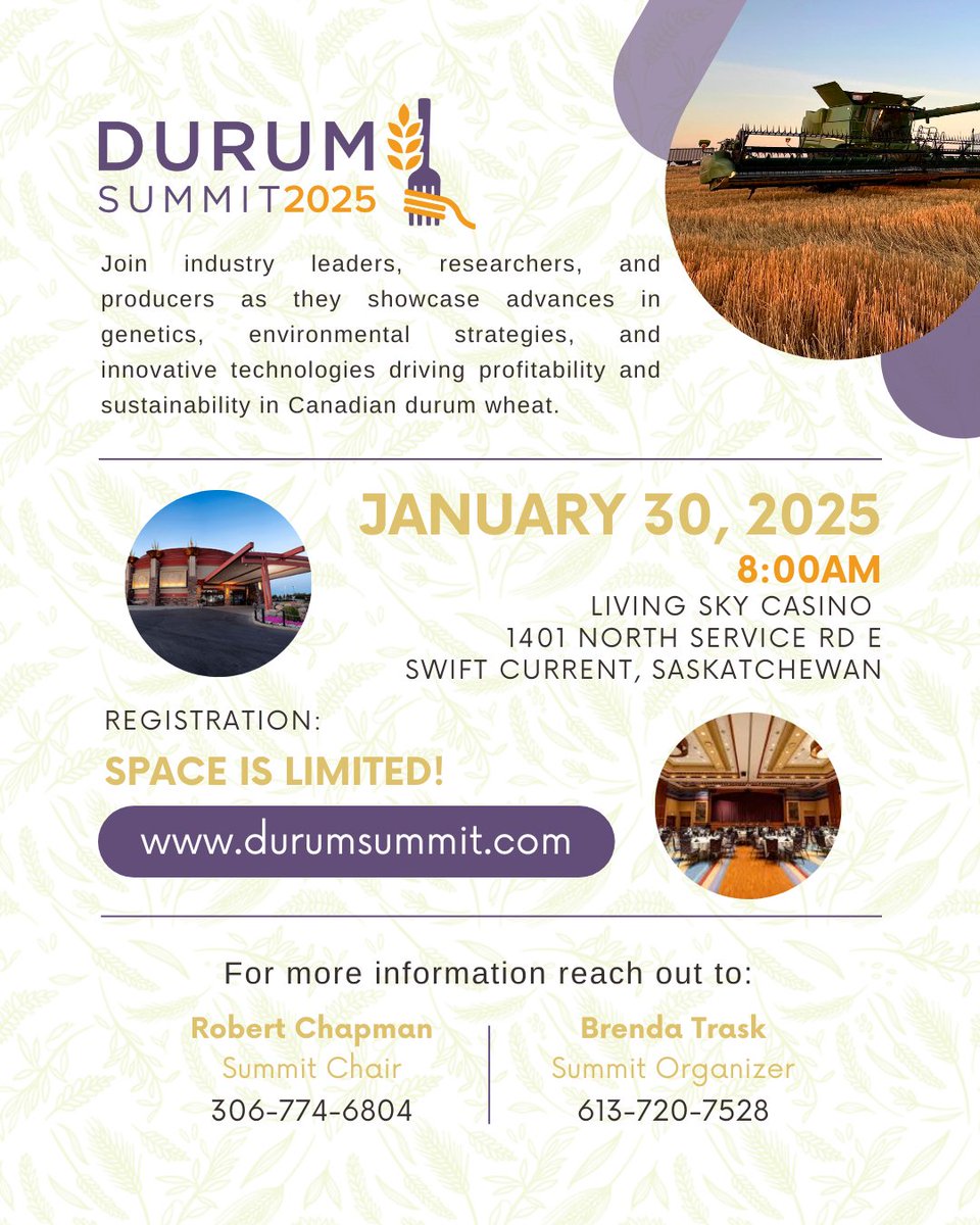 SWT's tweet photo. 🌾The Durum Summit 2025 is your chance to invest the future of Canadian durum wheat!

📅 Jan 30, 2025 @ 8am
📍 Living Sky Casino, Swift Current, SK

Hear from experts, discover solutions, and connect with leaders. Space is limited—register now: https://t.co/VHKv9Dd35p https://t.co/v2Q4pNKLfT