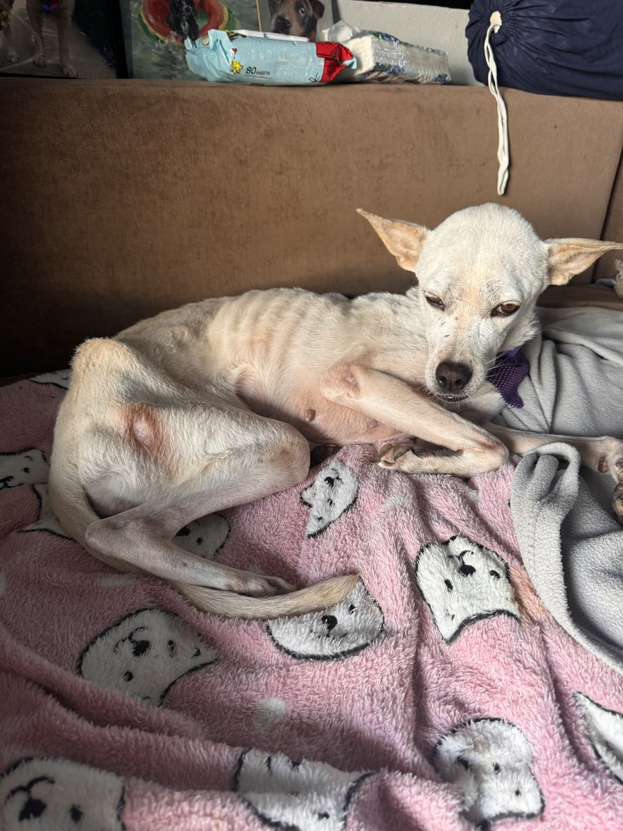 Niall Harbison tweet media