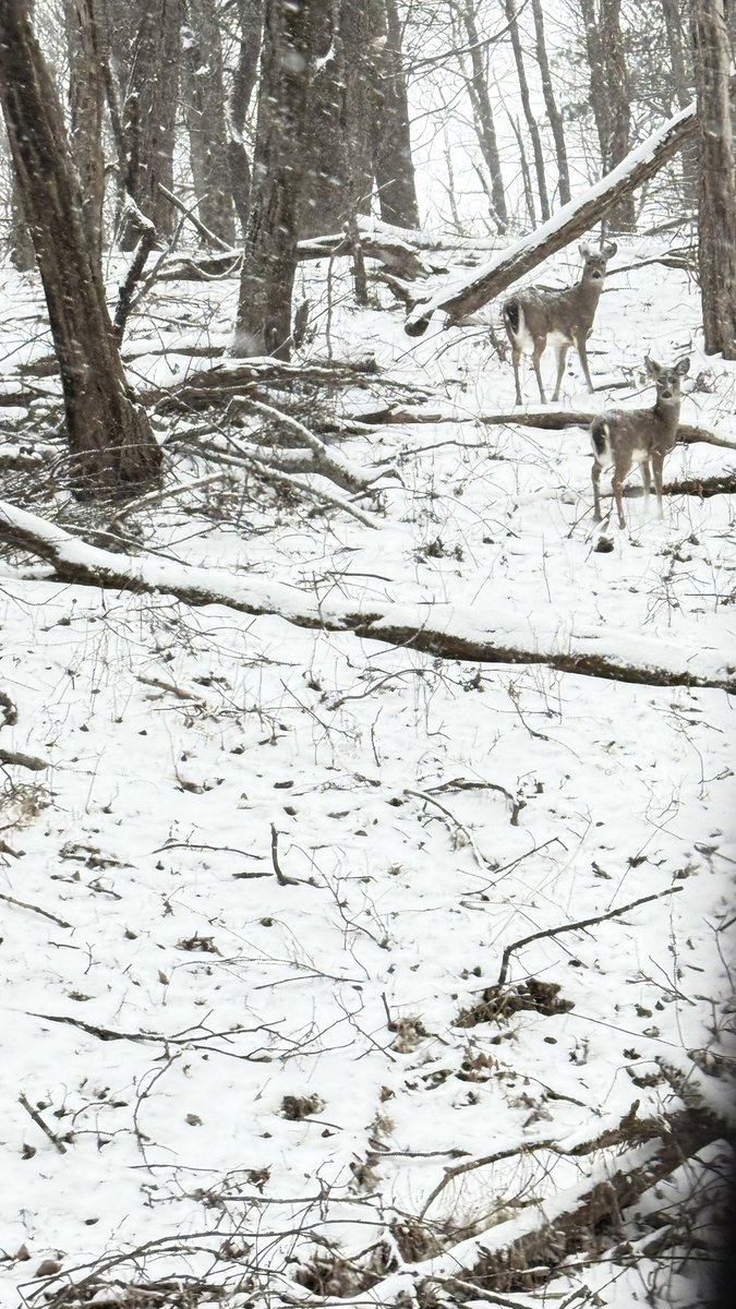 Tammy_gunter2's tweet image. Surprise Trips are SO SPECIAL!! My Man Is The Best! This Is Going To Be an Amazing Getaway!❄️

#specialtrip
#chasingviews
#2025