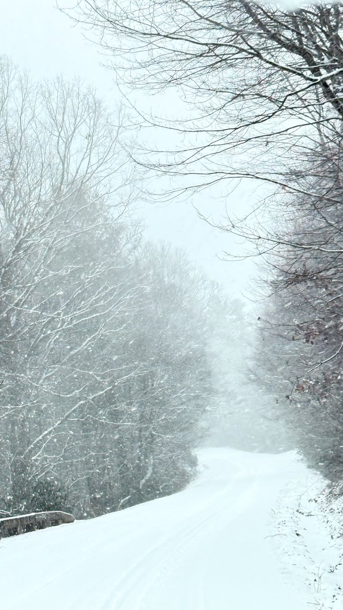 Tammy_gunter2's tweet image. Surprise Trips are SO SPECIAL!! My Man Is The Best! This Is Going To Be an Amazing Getaway!❄️

#specialtrip
#chasingviews
#2025