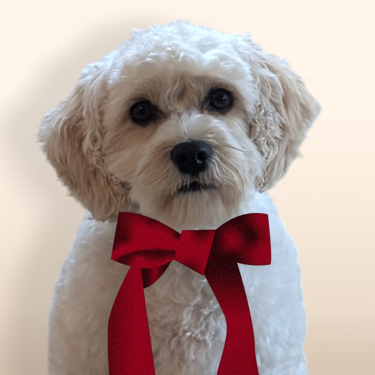 Jen Vance tweet media