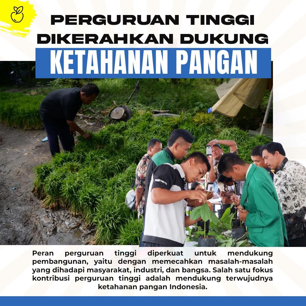 Ketahan pangan dalam negeri harus lebih baik.
Peran perguruan tinggi diperkuat untuk mendukung ketahanan pangan, yaitu dengan memecahkan masalah-masalah yang dihadapi masyarakat, industri, dan bangsa. 

Los Angeles Lolly RI 36 Dagunya 
Blok M Angin  Tompi California