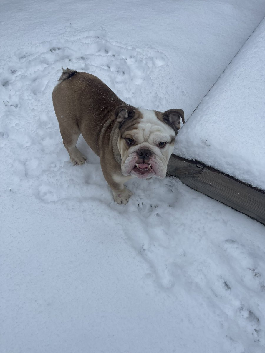 thatchurl's tweet image. 