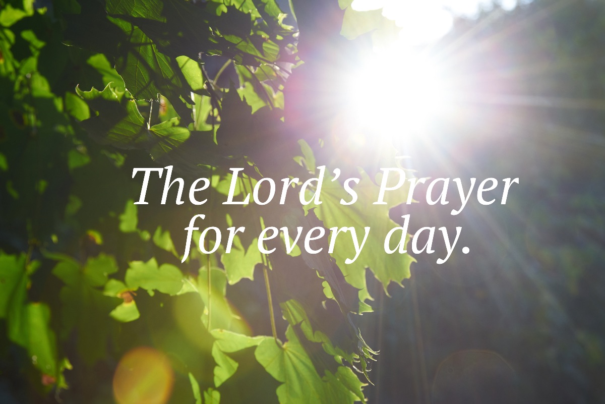 originchurch_ca's tweet photo. Let's gather with the Church this Sunday! - https://t.co/QsImJy1DM1 https://t.co/d0kYJWjgs1