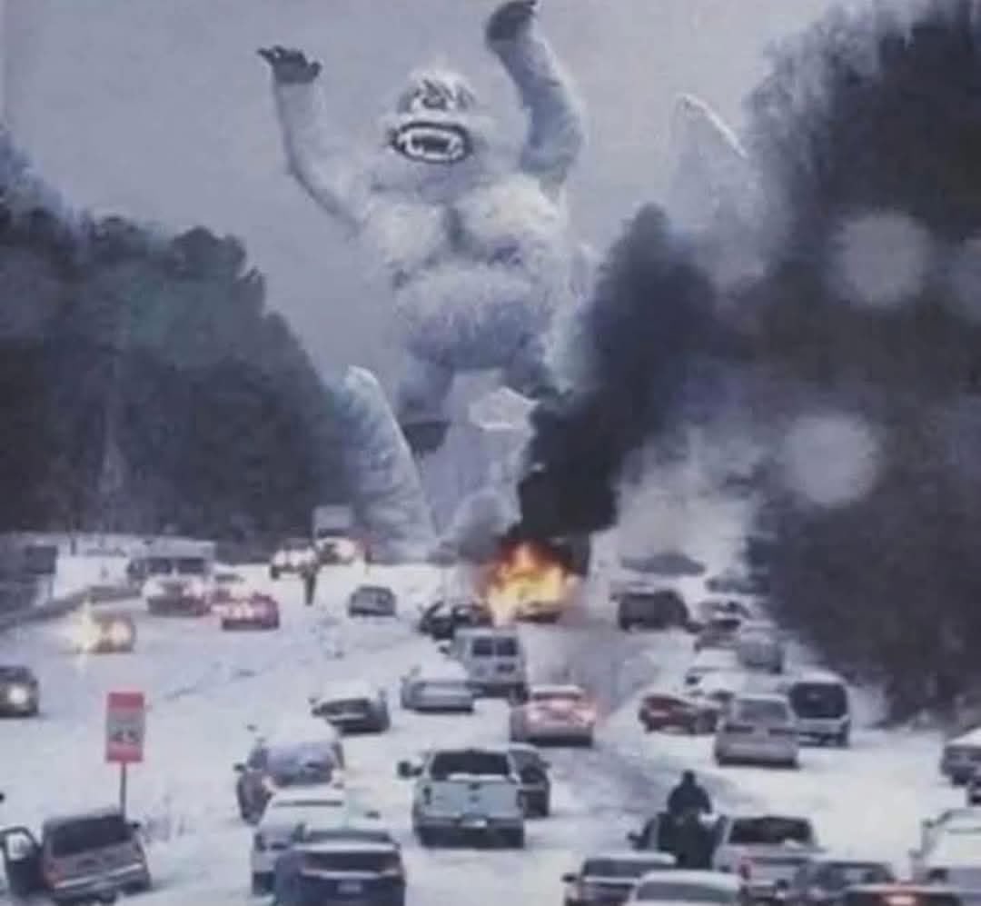 David Coleman tweet media