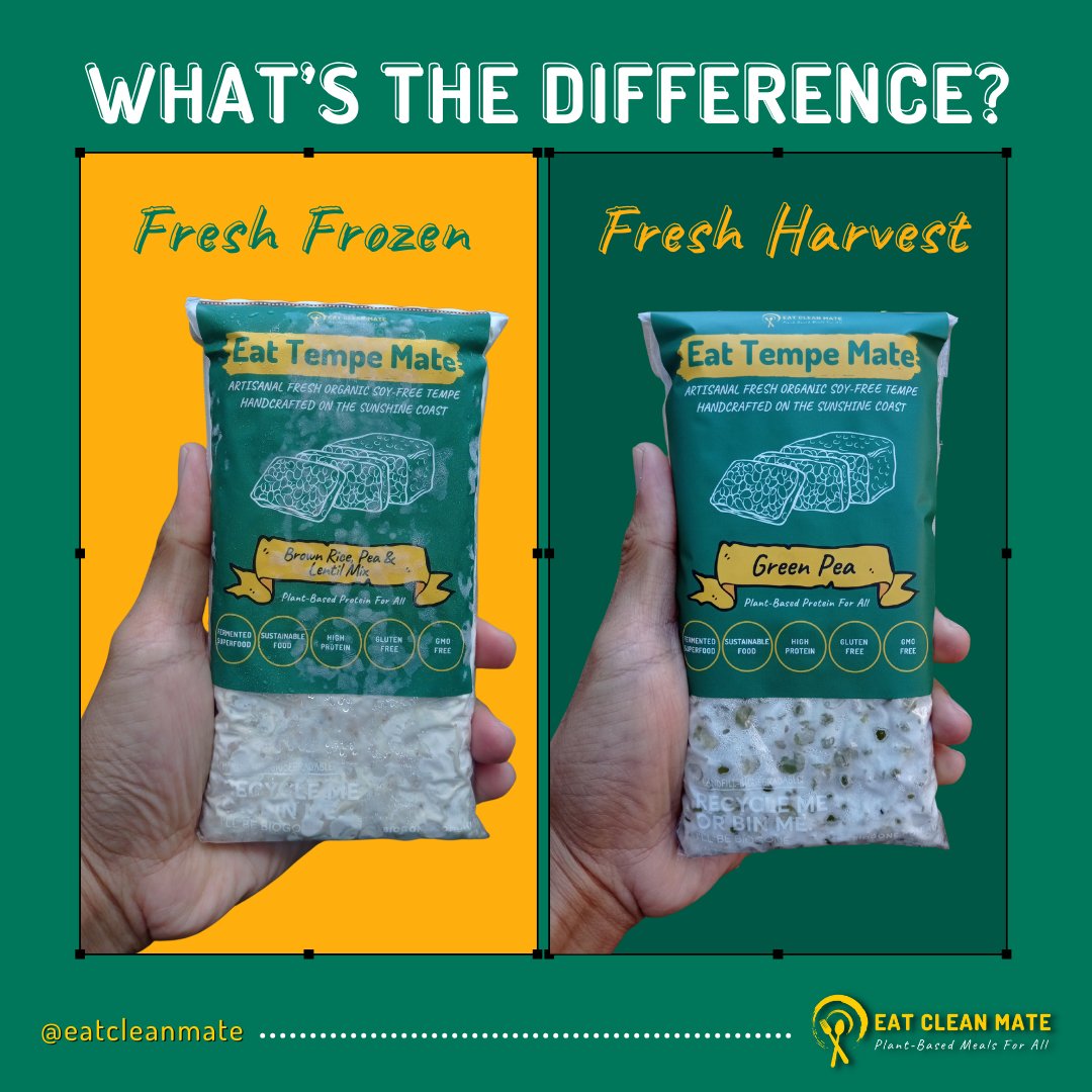 eatcleanmate's tweet photo. Fresh Frozen vs. Fresh Harvest Tempe

❄️ Fresh Frozen: Snap frozen after fermentation, locking in freshness &amp; longer shelf life w/ the same nutrition.

🌿 Fresh Harvest: Ready to cook immediately after fermentation.

Both are made from organic legumes!

Which do you prefer? 💬 https://t.co/YDc6K3D9dT