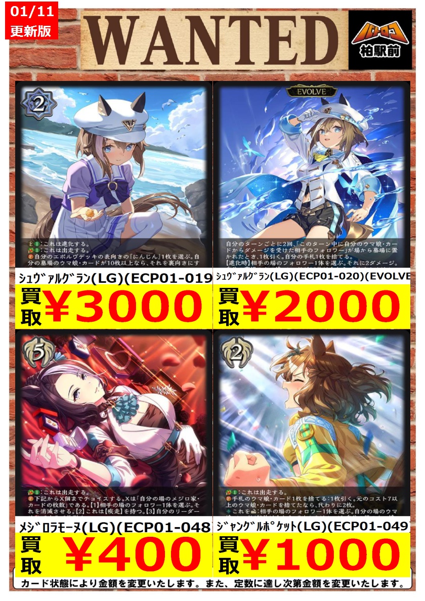 シュヴァルグラン 進化前 進化後 LG SL 上下3枚セット