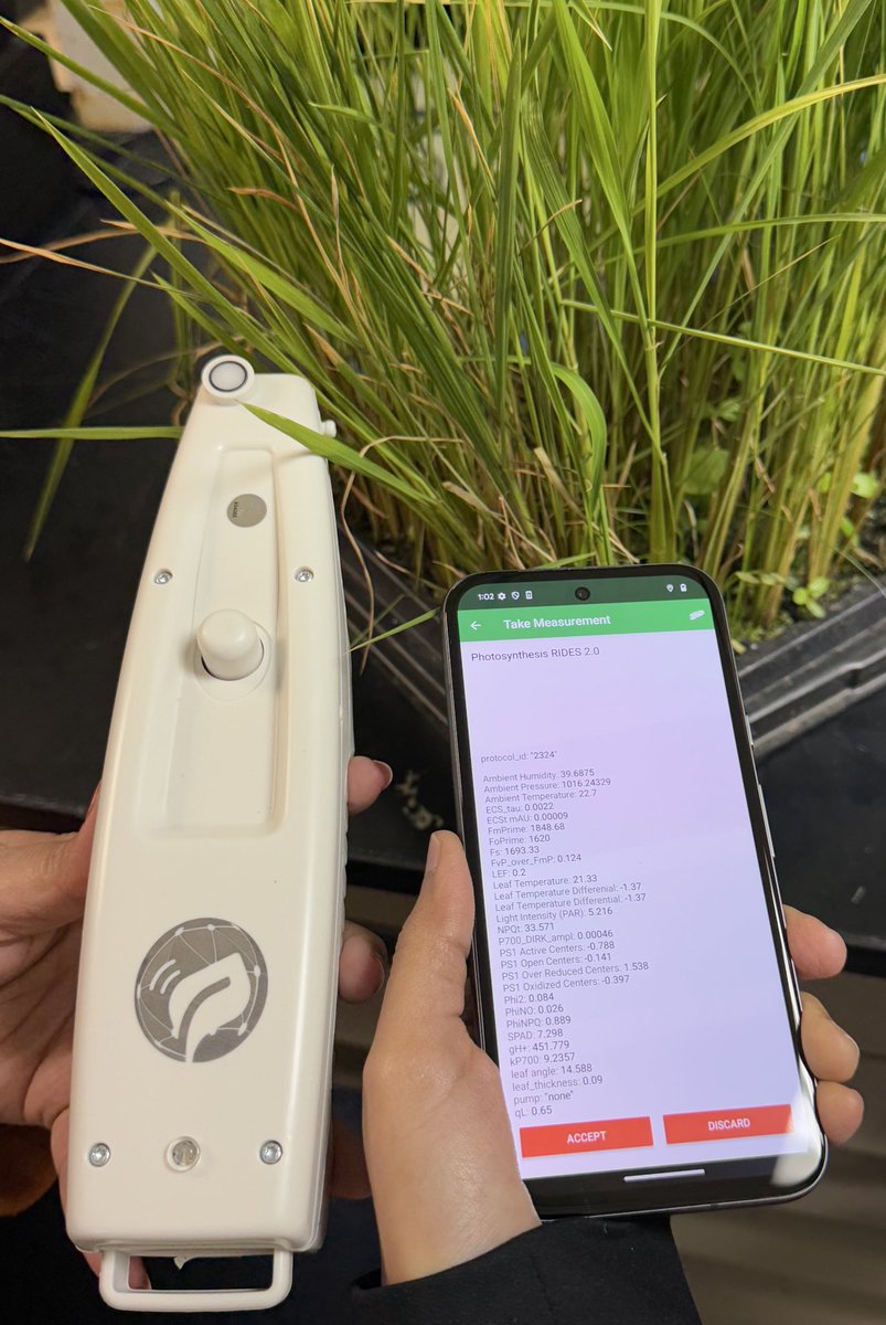 Gurjeet_AgSci's tweet photo. #ResearchUpdate2025 ๐บ๐ธ
Demonstration successfully done through MultispeQ @PhotosynQ at Beaumont Research Station @txresearch @AgriLife @TAMU
Stay tuned 4 updates! Soon we will setup #Rice experiments to explore #multispeQ
#RiceBreeding
#TexasRiceBreeding
#Agtwitter https://t.co/w0rqBMLKlG