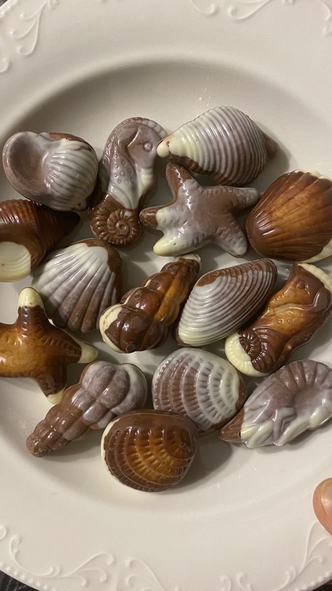 guylian seashell belgian chocolate